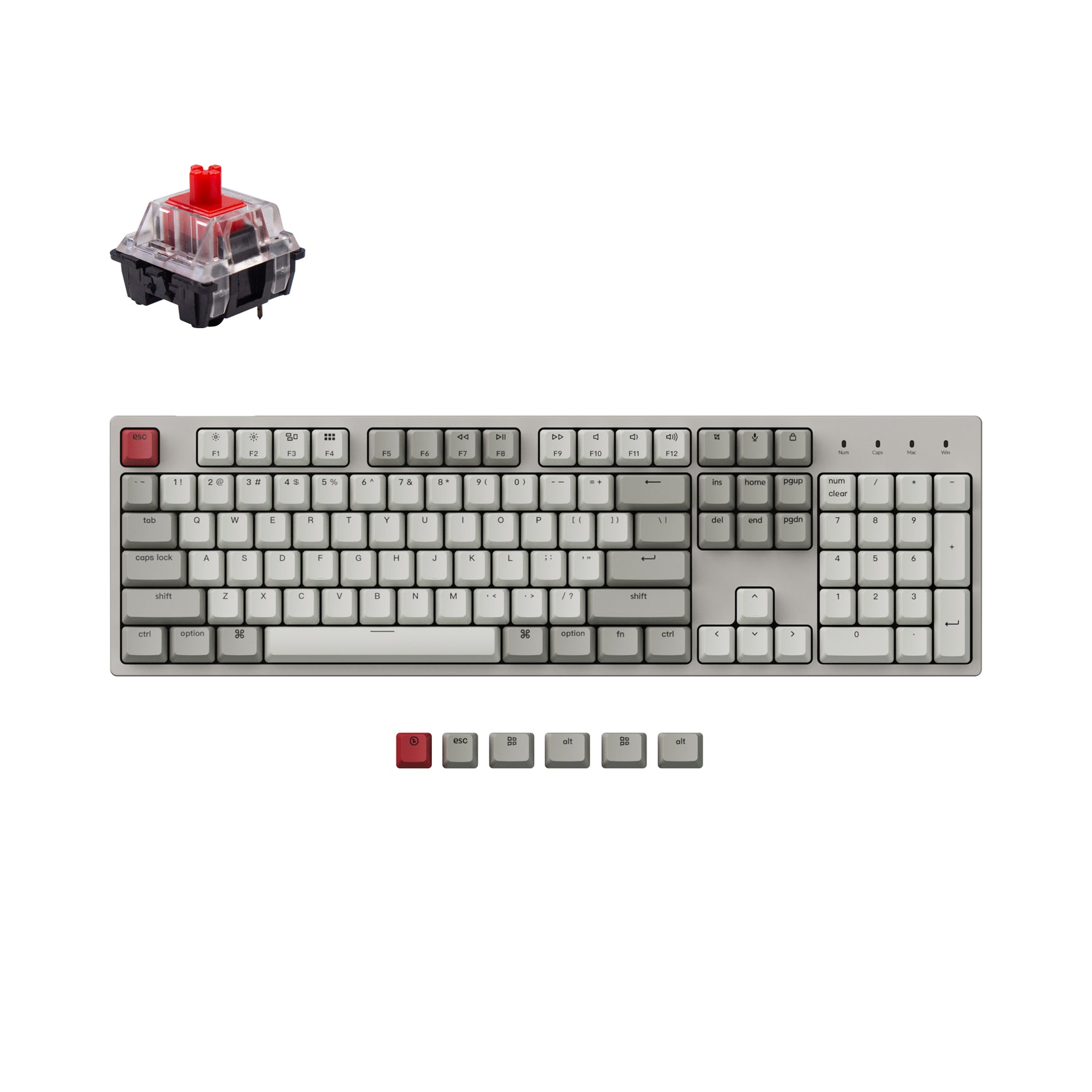 Keychron C2 Wired Mechanical Keyboard (US ANSI Layout)