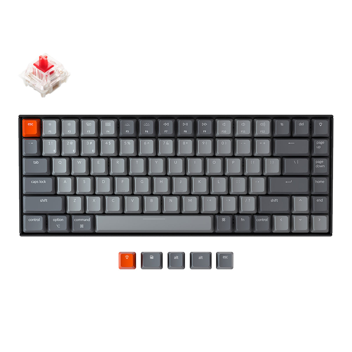 Keychron K2 wireless mechanical keyboard for Mac Windows iOS Gateron switch red with type-C RGB white backlight