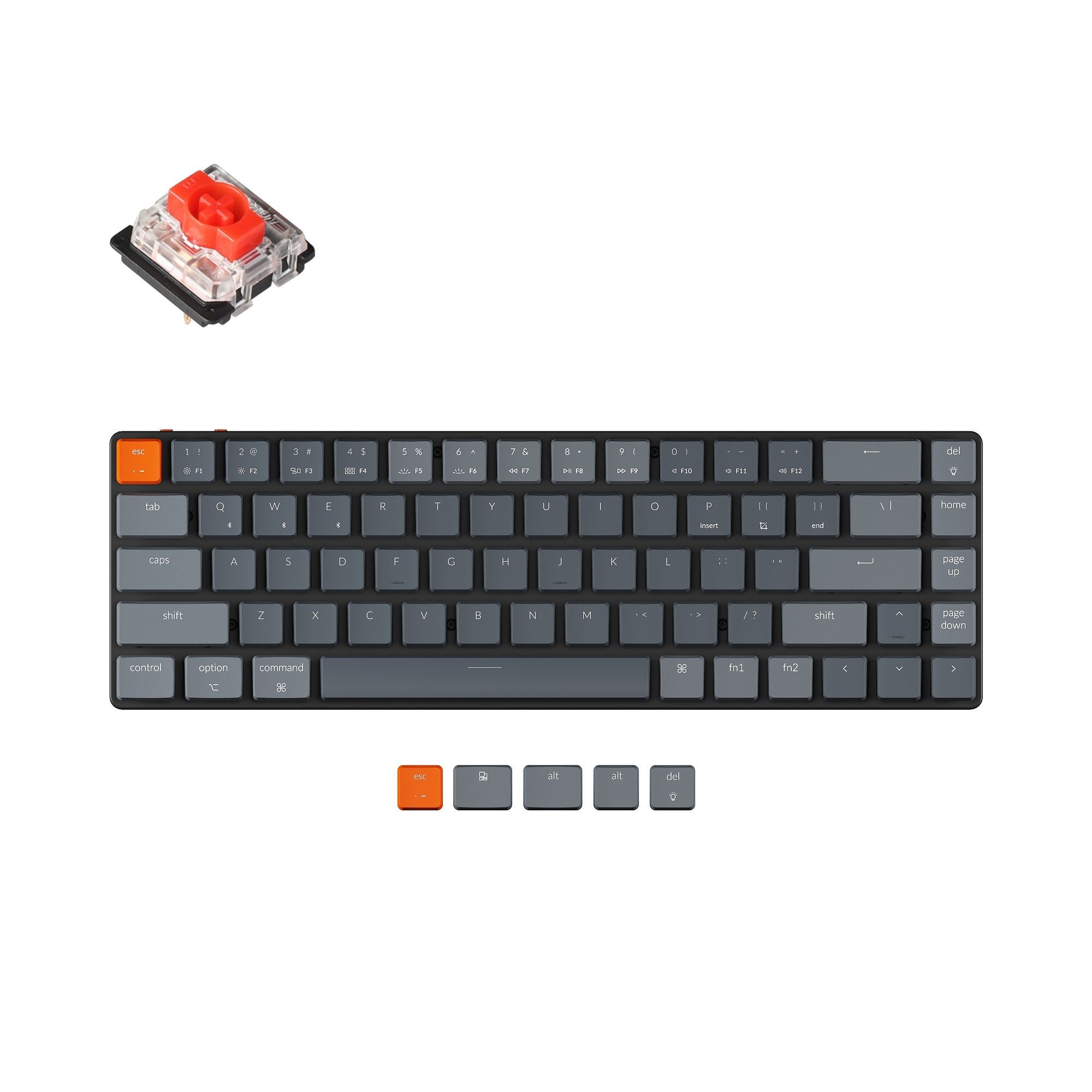 Keychron K7 65-percent ultra-slim compact wireless mechanical keyboard for Mac Windows Hot-swappable low-profile Gateron  Mechanical red switches with RGB backlit